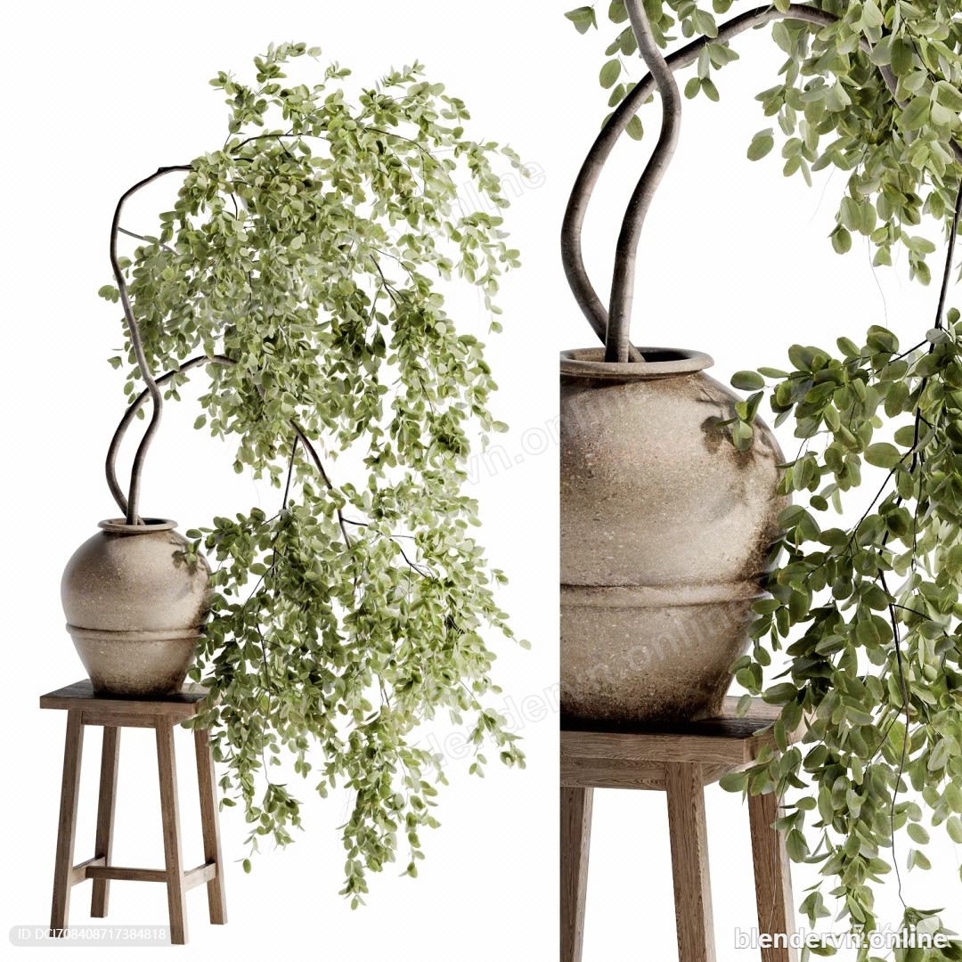 Modern Ceramic Vase, Potted Plant & Small Table Set